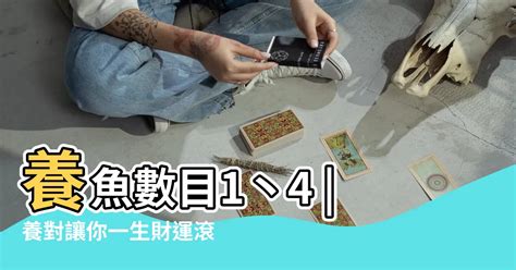 養魚的吉祥數字|養對魚數：財運滾滾來